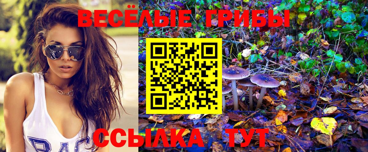 Галлюциногенные грибы Psilocybine cubensis Ревда